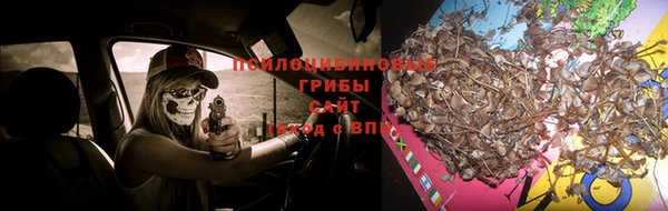 ПСИЛОЦИБИНОВЫЕ ГРИБЫ Сатка