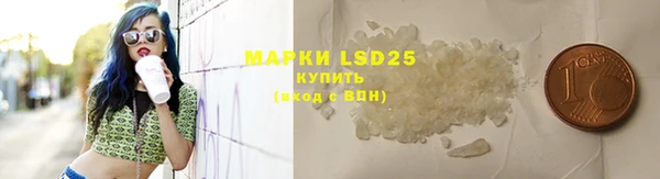 PSILOCYBIN Сафоново