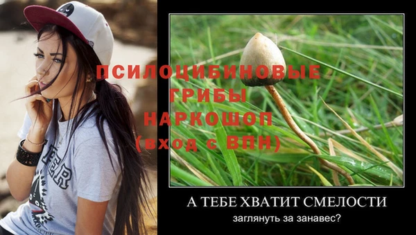 мдпв Богородск