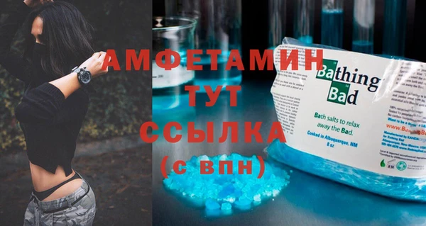 шишки Баксан