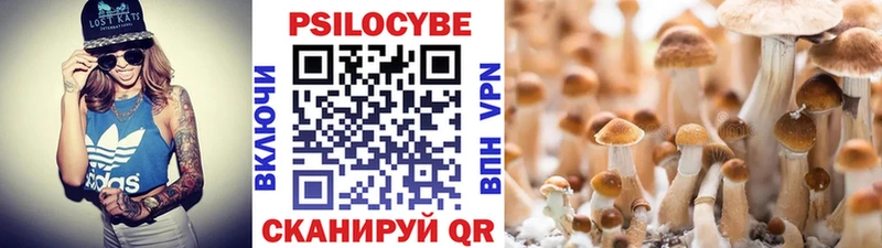 OMG ССЫЛКА Солнечногорск Галлюциногенные грибы прущие грибы